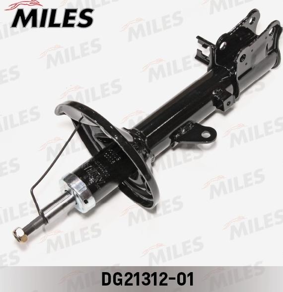 Miles DG21312-01 - Amortisseur cwaw.fr