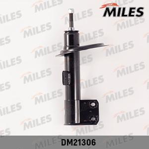 Miles DM21306 - Amortisseur cwaw.fr