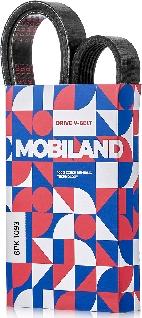 MOBILAND 501261093 - Courroie trapézoïdale à nervures cwaw.fr