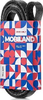 MOBILAND 501272255 - Courroie trapézoïdale à nervures cwaw.fr