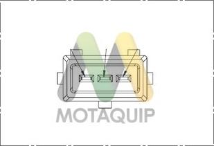 Motaquip LVRC256 - Capteur d'angle, vilebrequin cwaw.fr