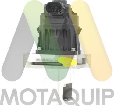 Motaquip LVER397 - Vanne EGR cwaw.fr