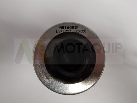 Motaquip LVFL753 - Filtre à huile cwaw.fr