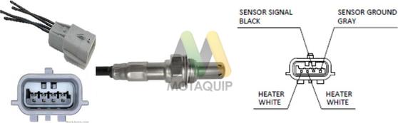 Motaquip LVOS2025 - Sonde lambda cwaw.fr