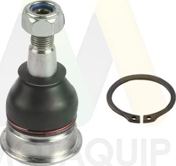 Motaquip LVSJ1282 - Rotule de suspension cwaw.fr