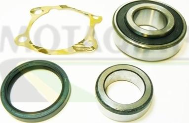 Motaquip VBK1196 - Kit de roulements de roue cwaw.fr