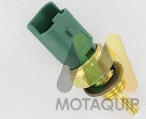 Motaquip VCT119 - Sonde de température, liquide de refroidissement cwaw.fr