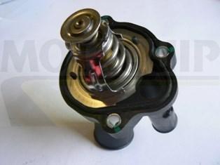 Motaquip VTK168 - Thermostat d'eau cwaw.fr