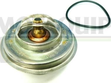 Motaquip VTK26 - Thermostat d'eau cwaw.fr