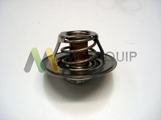 Motaquip VTS187 - Thermostat d'eau cwaw.fr