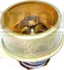 Motaquip VTS126 - Thermostat d'eau cwaw.fr