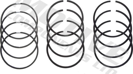 MOTIVE 6192 - Jeu de segments de pistons cwaw.fr