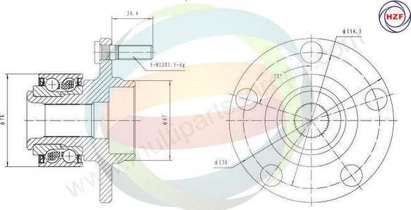 Multiparts 70-050036 - Kit de roulements de roue cwaw.fr