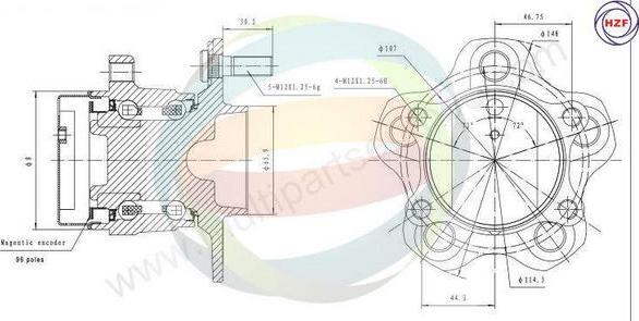 Multiparts 70-060096 - Kit de roulements de roue cwaw.fr