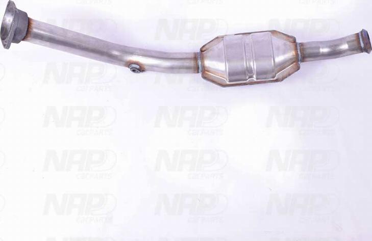 NAP CAK10145 - Catalyseur cwaw.fr