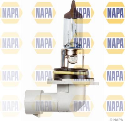 NAPA NBU19006 - Ampoule, projecteur principal cwaw.fr