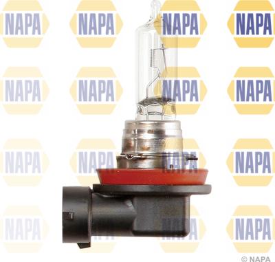 NAPA NBU1709 - Ampoule, projecteur principal cwaw.fr