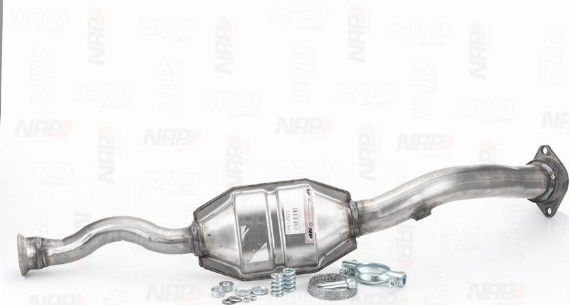 NAP carPARTS CAK10521 - Catalyseur cwaw.fr