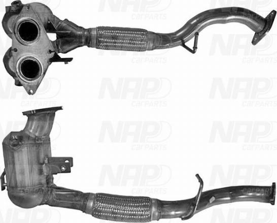 NAP carPARTS CAK10003 - Catalyseur cwaw.fr