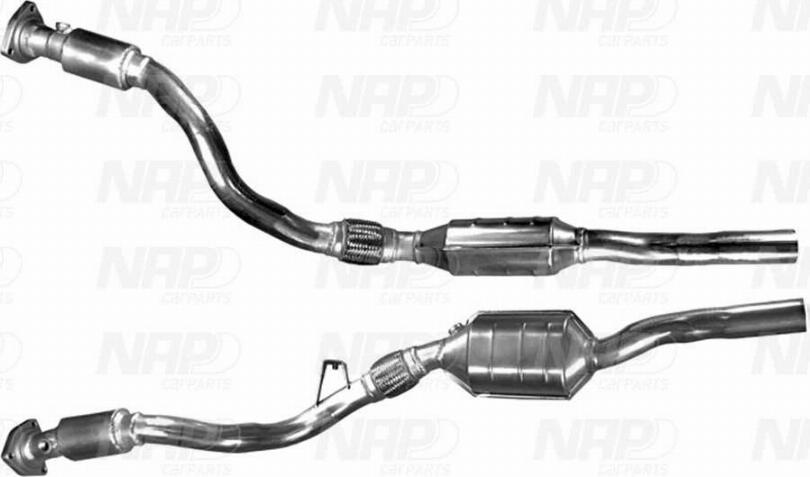 NAP carPARTS CAK10028 - Catalyseur cwaw.fr