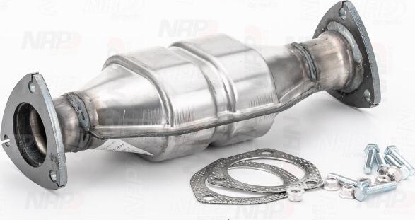 NAP carPARTS CAK10189 - Catalyseur cwaw.fr