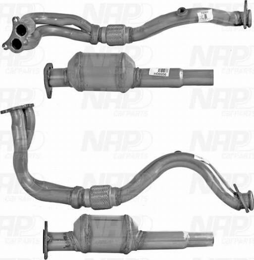 NAP carPARTS CAK11009 - Catalyseur cwaw.fr