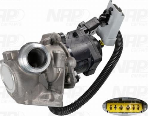 NAP carPARTS CAV10078 - Vanne EGR cwaw.fr