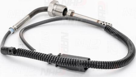 NAP carPARTS CTS10060 - Capteur, température des gaz cwaw.fr