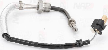 NAP carPARTS CTS10160 - Capteur, température des gaz cwaw.fr