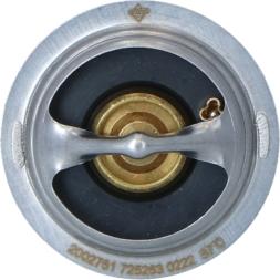 NRF 725263 - Thermostat d'eau cwaw.fr