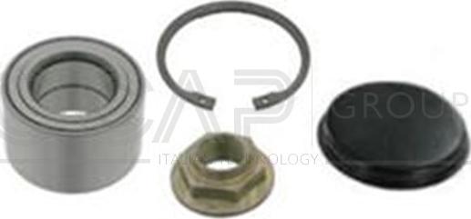 OCAP 6120318 - Kit de roulements de roue cwaw.fr