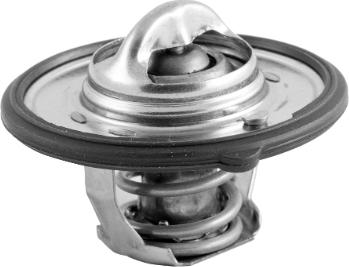 Omnicraft 2457823 - Thermostat d'eau cwaw.fr