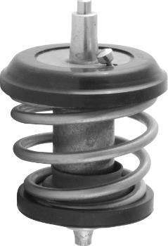 Omnicraft 2457735 - Thermostat d'eau cwaw.fr