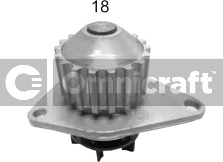 Omnicraft 2316898 - Pompe à eau cwaw.fr