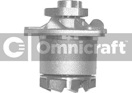 Omnicraft 2317416 - Pompe à eau cwaw.fr