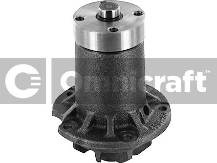 Omnicraft 2317414 - Pompe à eau cwaw.fr