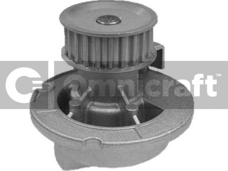 Omnicraft 2317038 - Pompe à eau cwaw.fr