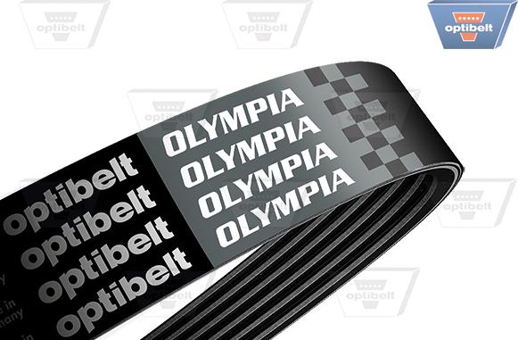 Optibelt 6 PK 1029 OLYMPIA - Courroie trapézoïdale à nervures cwaw.fr