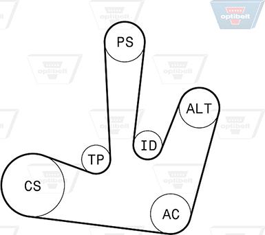 Optibelt 6 PK 1795KT1 - Jeu de courroies trapézoïdales à nervures cwaw.fr