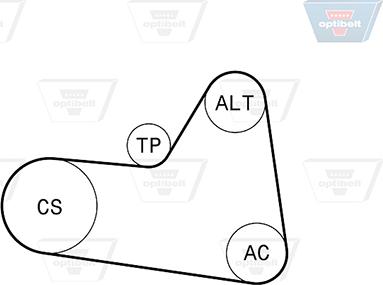 Optibelt 6 PK 1710KT1 - Jeu de courroies trapézoïdales à nervures cwaw.fr