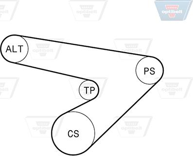 Optibelt 6 PK 1725KT2 - Jeu de courroies trapézoïdales à nervures cwaw.fr