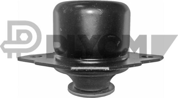 PLYOM P460886 - Support moteur cwaw.fr