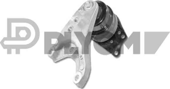 PLYOM P461132 - Support moteur cwaw.fr