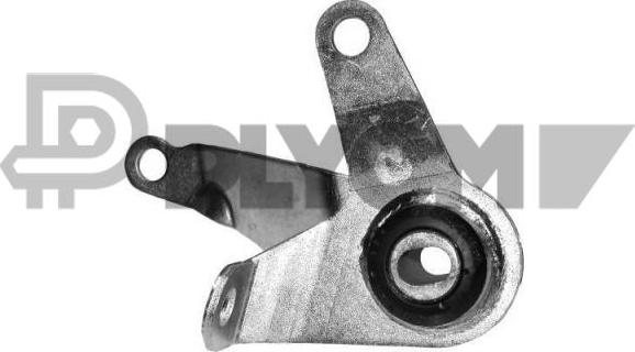 PLYOM P011080 - Support moteur cwaw.fr