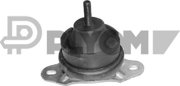 PLYOM P031496 - Support moteur cwaw.fr