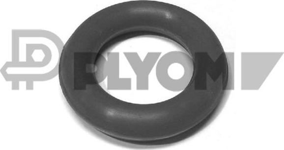 PLYOM P020125 - Support, silencieux cwaw.fr