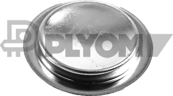 PLYOM P756757 - Bouchon de dilatation cwaw.fr