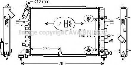 Prasco OL2467 - Radiateur, refroidissement du moteur cwaw.fr