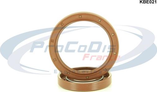 Procodis France KBE021 - Kit de bagues d'étanchéité, moteur cwaw.fr