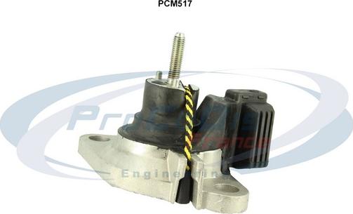 Procodis France PCM517 - Support moteur cwaw.fr